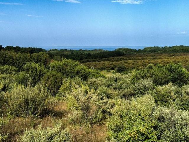 Land for sale in Northport, Michigan