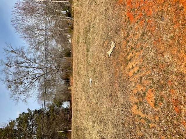Land for sale in Rutherford, North Carolina