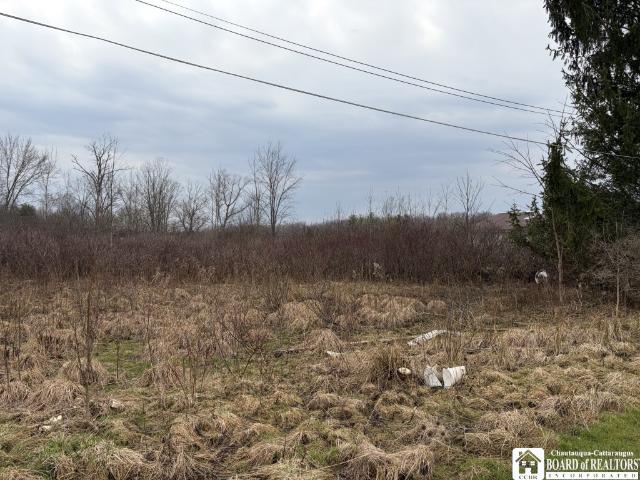 Land for sale in Frewsburg, New York