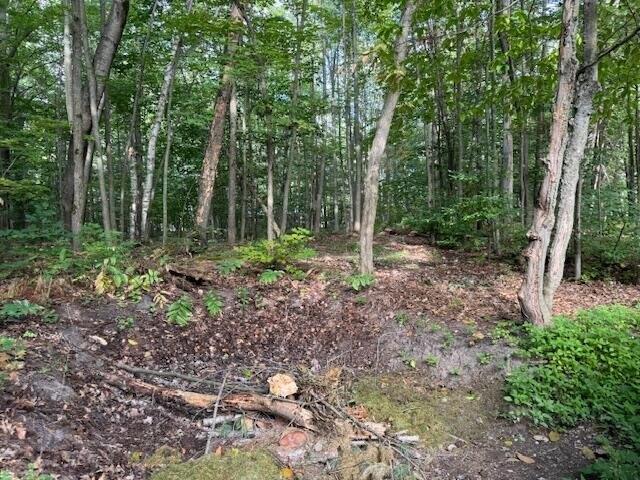 Land for sale in Gaylord, Michigan