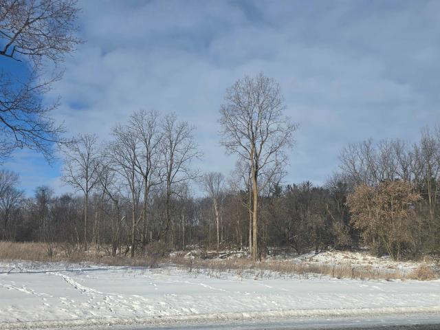 Land for sale in Gratiot, Michigan