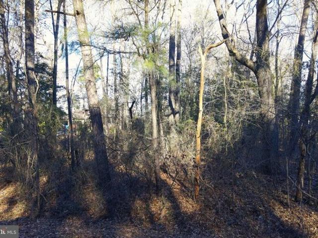 Land for sale in Bishopville, Maryland