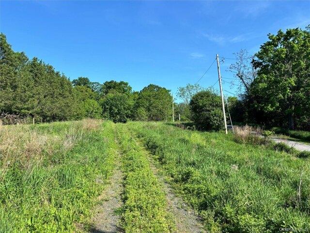 Land for sale in New York