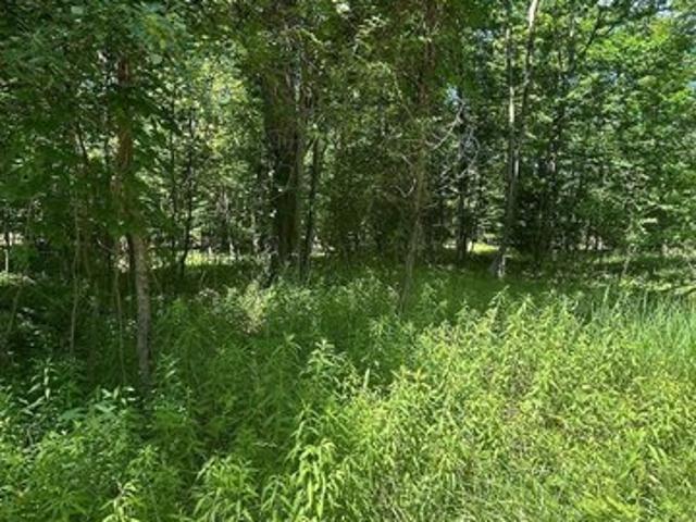 Land for sale in Au Gres, Michigan