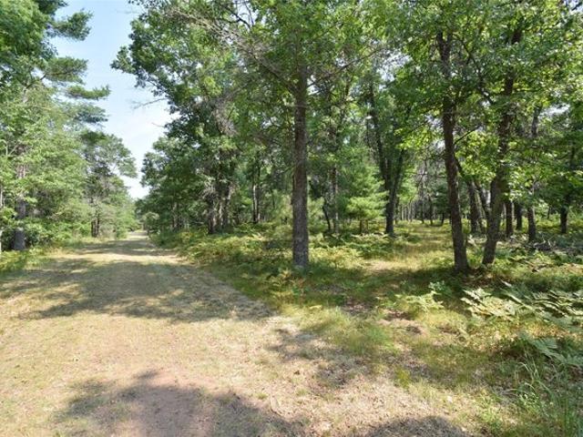 Land for sale in Swiss, Wisconsin