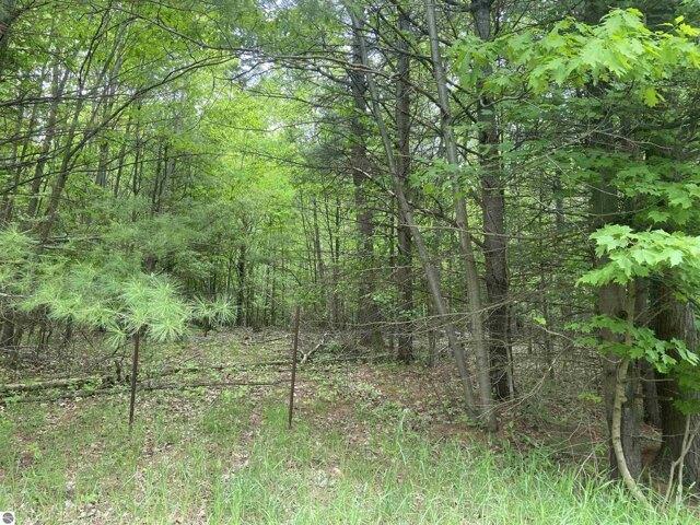 Land for sale in Harrisville Land for sale in Harrisville