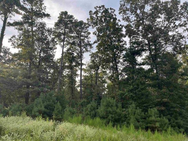Land for sale in Ark