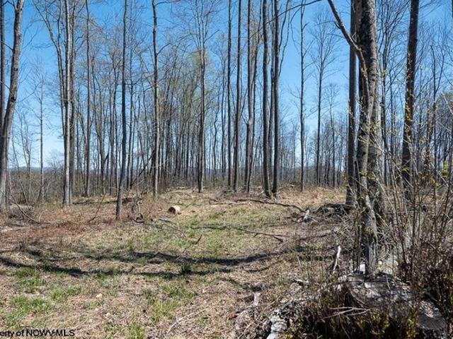 Farm for sale in Tunnelton, West Virginia