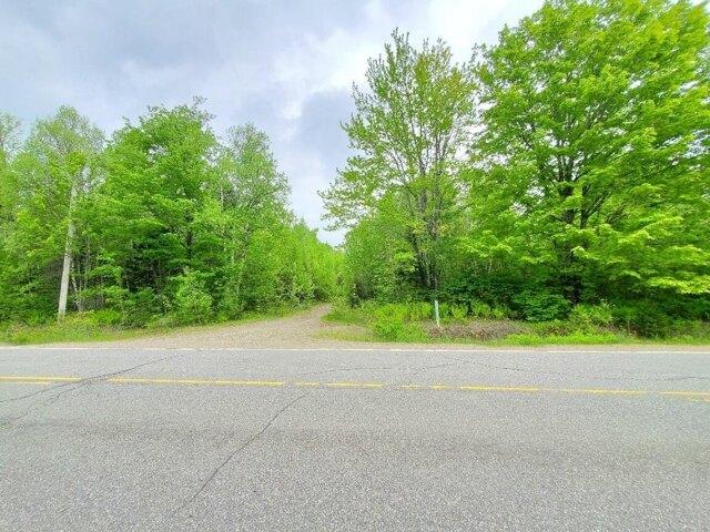 Land for sale in Princeton, Maine