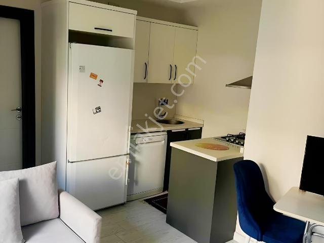Urla, İzmir içerisinde kiralık mülk