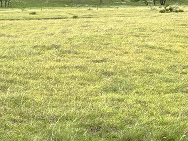 Farm for sale in Doss, Texas