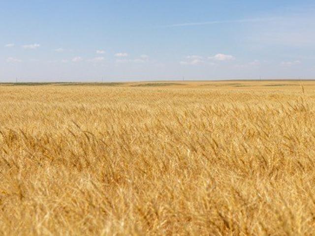 Land for sale in Chester, Montana