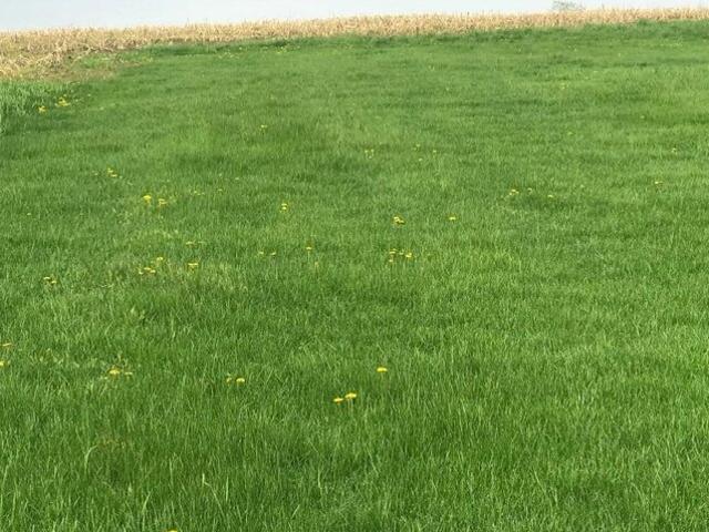 Land for sale in Saxonburg