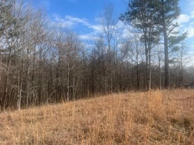 Land for sale in Byhalia, Mississippi
