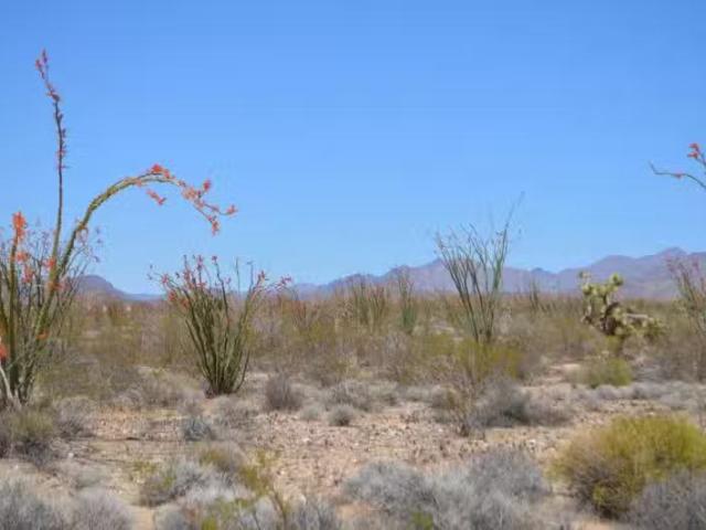 House for rent in Kingman, Arizona