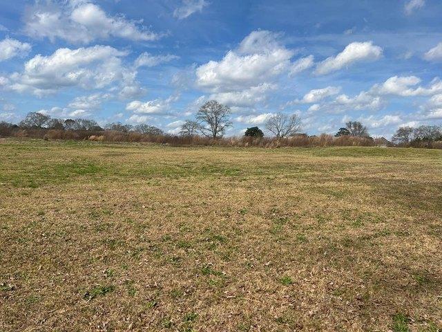 Land for sale in Lumberton, Mississippi