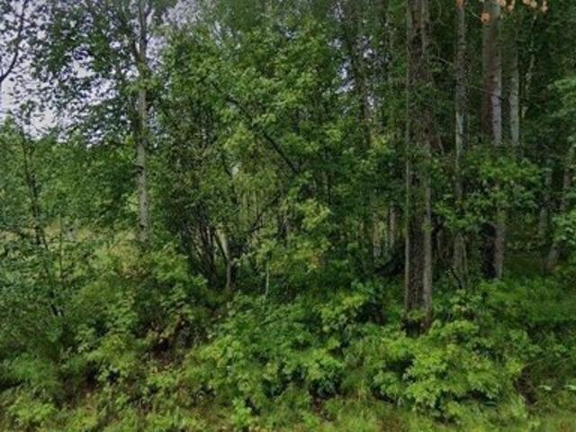 Land for sale in Palmer