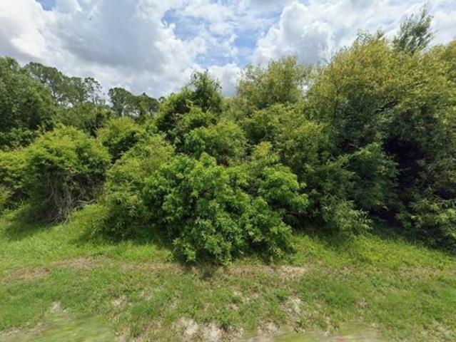Land for sale in Clewiston