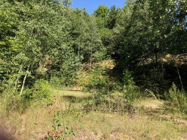 Land for sale in Hesperia, Michigan