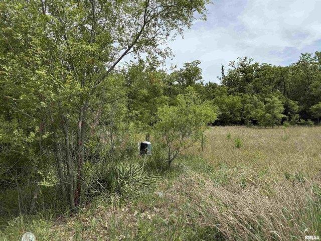 Land for sale in Havana, Illinois
