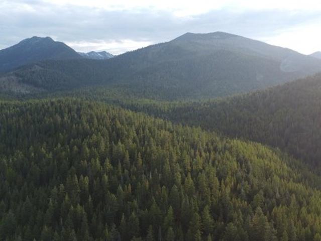 Land for sale in Oregonia