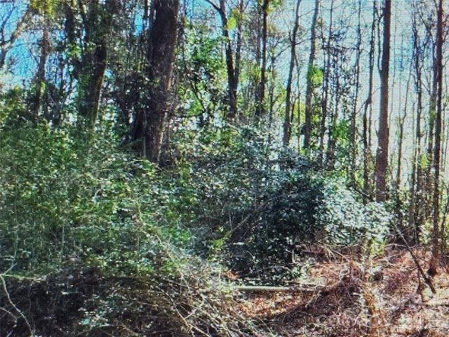 Land for sale in Kershaw, South Carolina