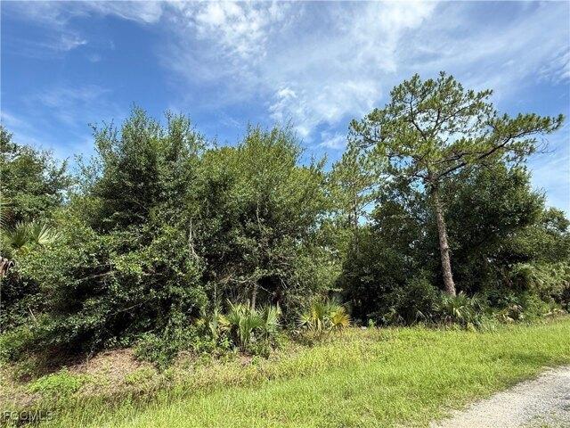 Land for sale in Clewiston