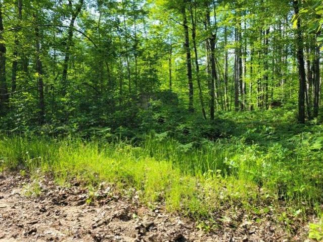 Land for sale in Barton City, Michigan