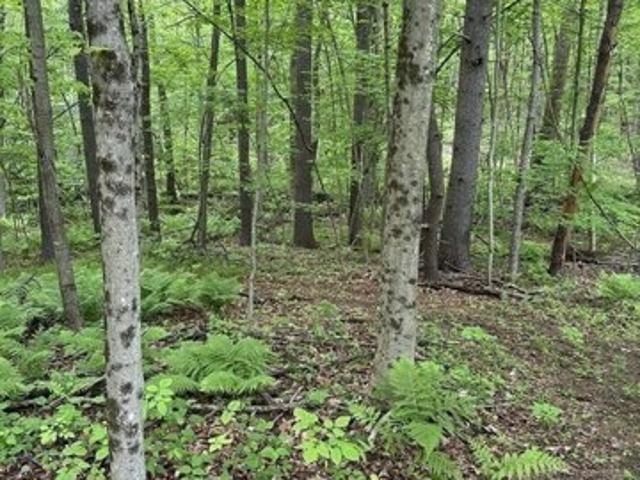Land for sale in Royalston, Massachusetts