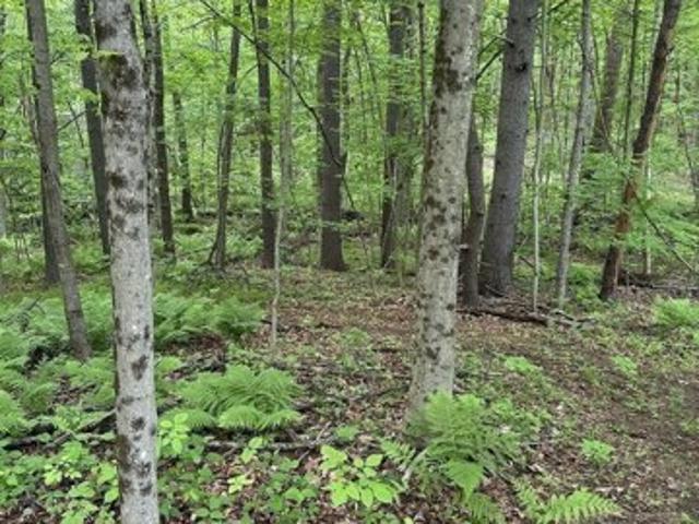 Land for sale in Royalston Common Historic District, Royalston