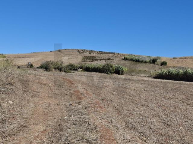 Terreno venda em Vila Do Bispo, Faro