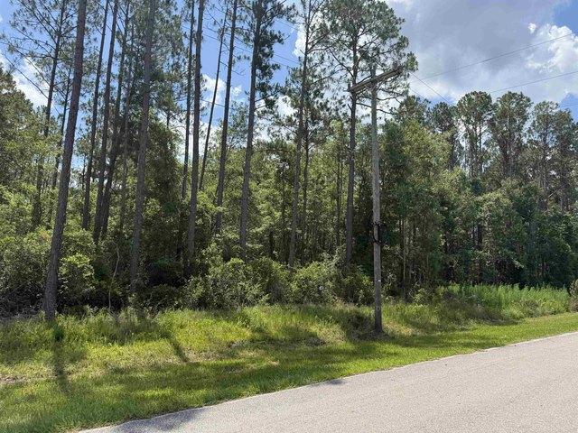 Land for sale in Monticello, Florida