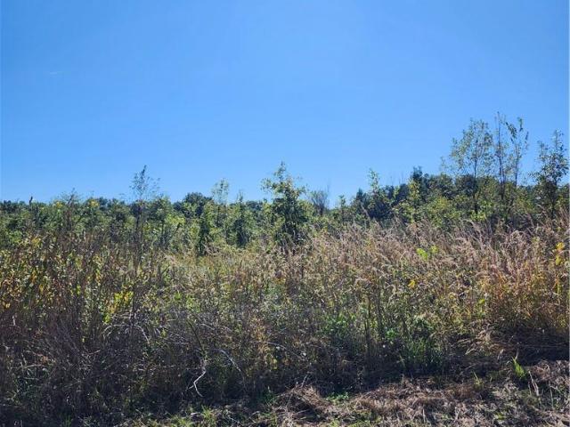Land for sale in Harrisonville, Cass County