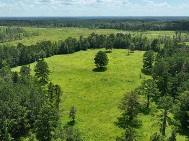 Land for sale in Georgiana, Alabama