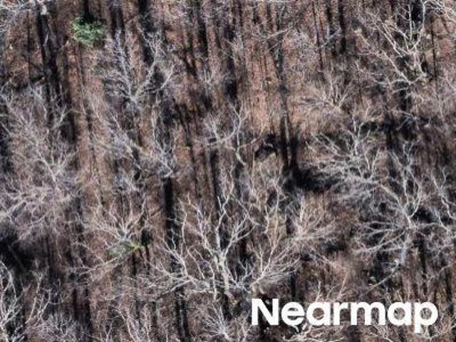 Land for sale in Bessemer, Alabama