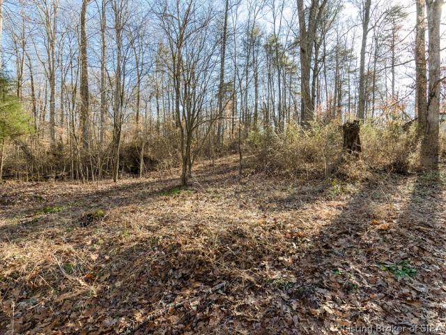 Land for sale in Pekin, Indiana