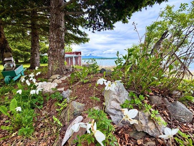 House for sale in Babb, Montana