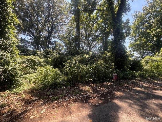 Land for sale in Poplar Bluff, Missouri