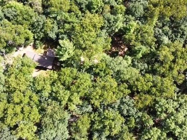 Land for sale in Michigan