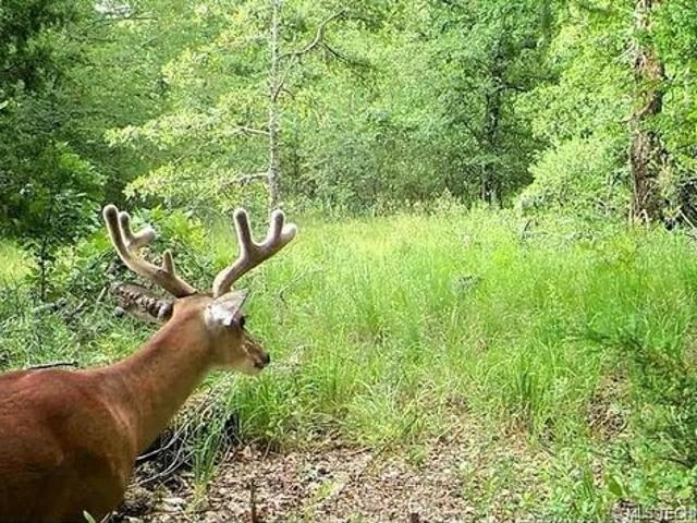 Land for sale in Oklahoma