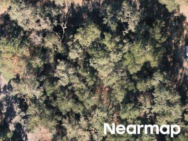 Land for sale in Florida