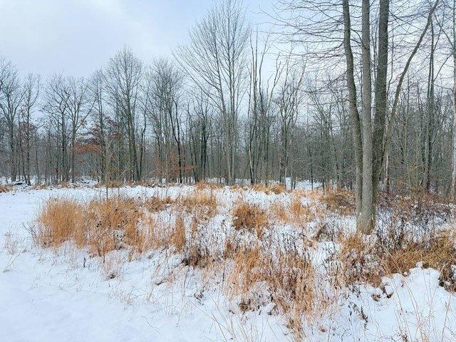 Land for sale in Mercer, Pennsylvania