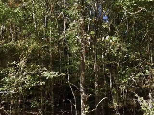 Land for sale in Jackson, Mississippi