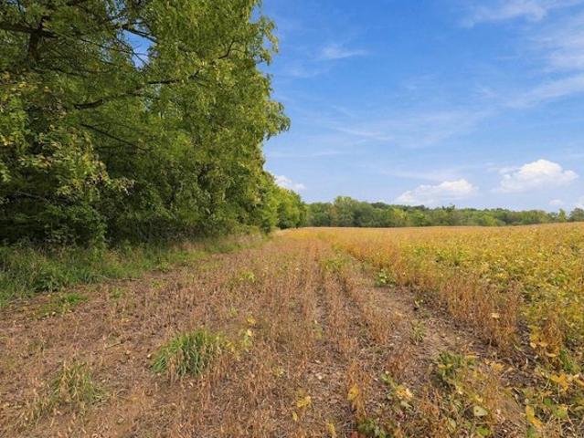 Land for sale in Hudson, Steuben County