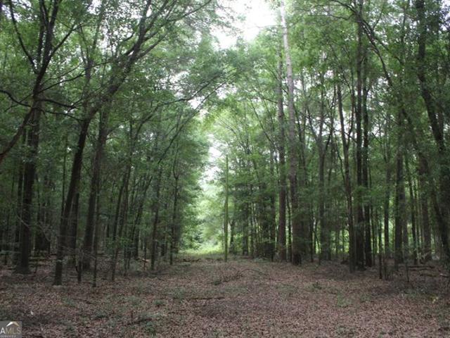 Land for sale in Oglethorpe, Georgia
