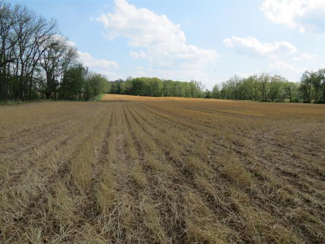 Land for sale in Michigan