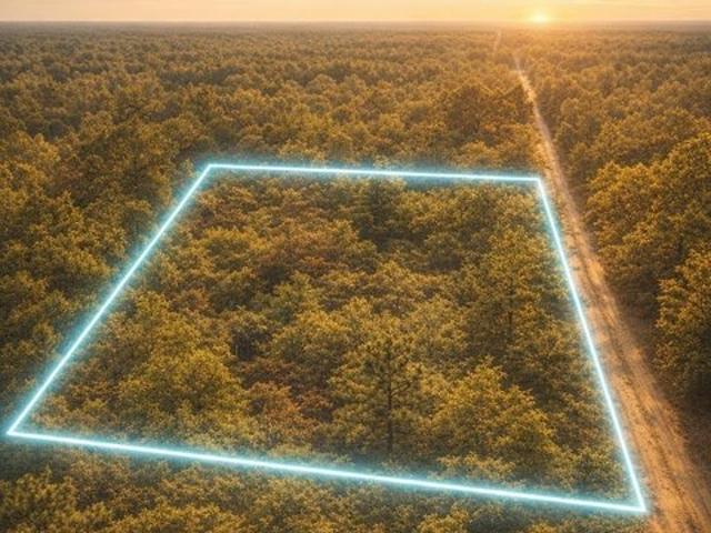 Land for sale in Baldwin, Michigan