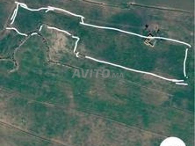 Propriété vente à Settat ⵥⵟⵟⴰⵟ سطات, Province de Settat إقليم سطات