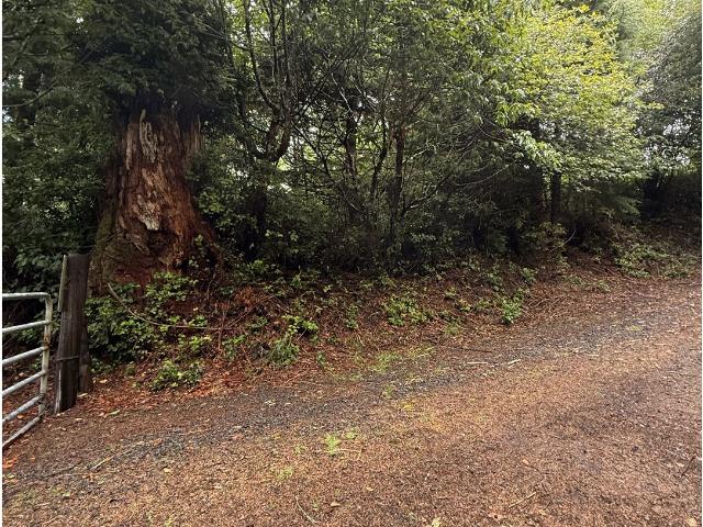 Land for sale in Oregonia