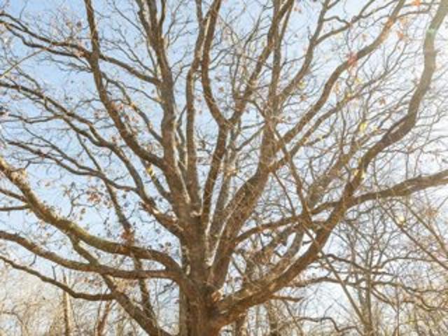 House for sale in Bolivar